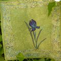 Iris de mon jardin Des iris pour l'inspiration,