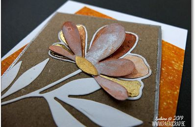 Cartes Nuances de Scrap