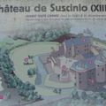 Château de Suscinio ( Bretagne)