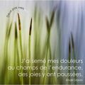 J'ai semé mes douleurs au champs de l'endurance 💙💚💙💚💙💚... DES JOIES Y ONT POUSSÉES.. 💙💚💙💚💙💚💙💚💙💚💙 