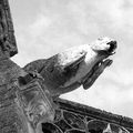 Eglise Notre-Dame, L'Epine (Marne). Partie 02. Image 06.