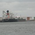 M/V BRITISH EAGLE