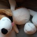 Doudous et peluches