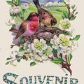 TRELON - Carte printanière