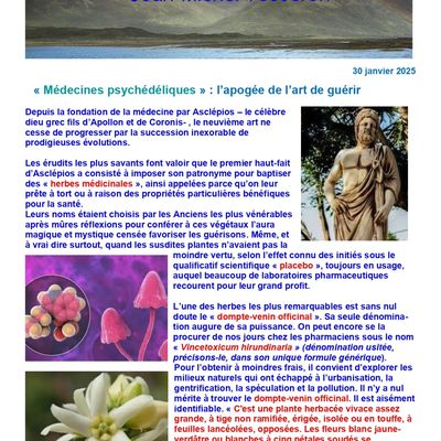 "Médecines psychédéliques": l'apogée de l'art de guérir