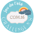 Challenge 8 com.16