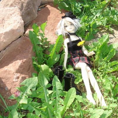 Solitude d'un matin de mai