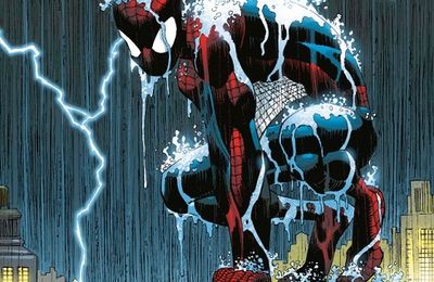 Panini Marvel Icons Spiderman par Straczynski