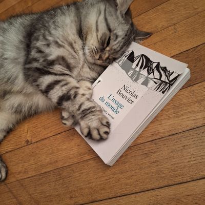 #491, L'usage du monde, Nicolas Bouvier