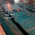 Stage anti-panique CM2 - piscine les Fins - merc 30/03/2016