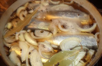 Harengs marinés