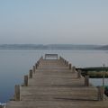 Une balade matinale au Lac de LEON (40), le 20 février (suite n° 2 et fin)....