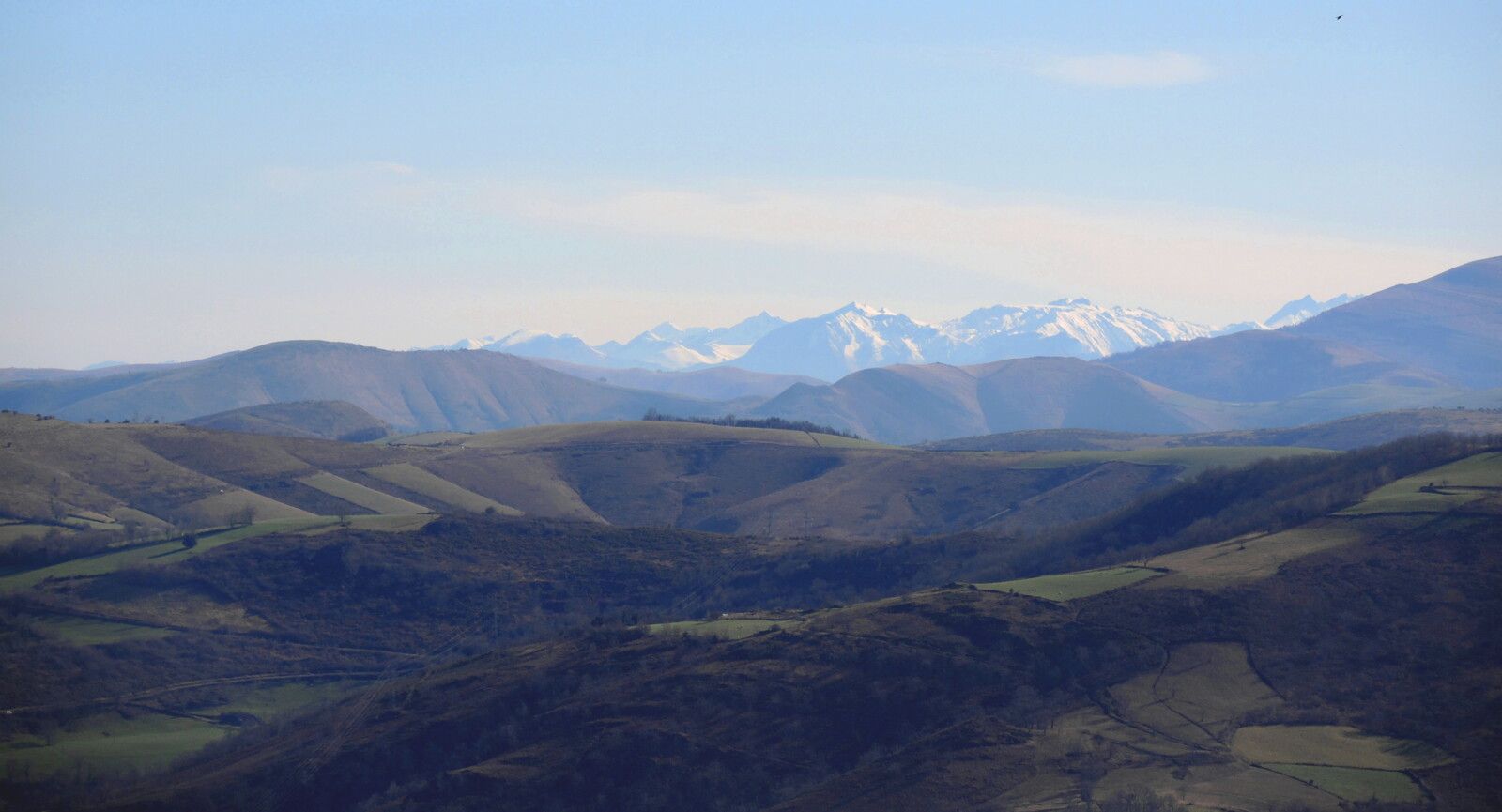 Larla, passage pentu, Panorama Pyrénées enneigées, février 2025. (64)