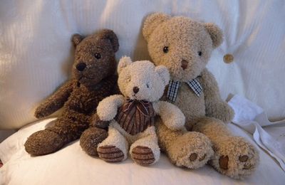 Mes nounours