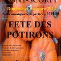 Fête des potirons 2014 à Pont-Scorff (56)
