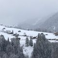 Le temps des fleurs - Fin des chutes de neige et de divers objets