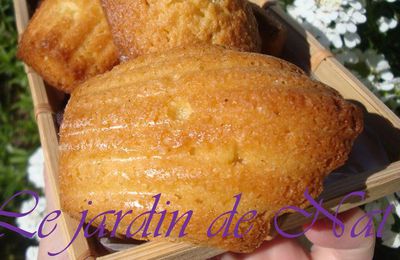 Les madeleines au citron du 1er mai!!!