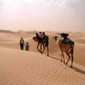 Photo du jour // Mauritanie-Environnement.