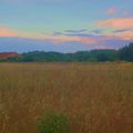 effet coloré, prairie enchantée