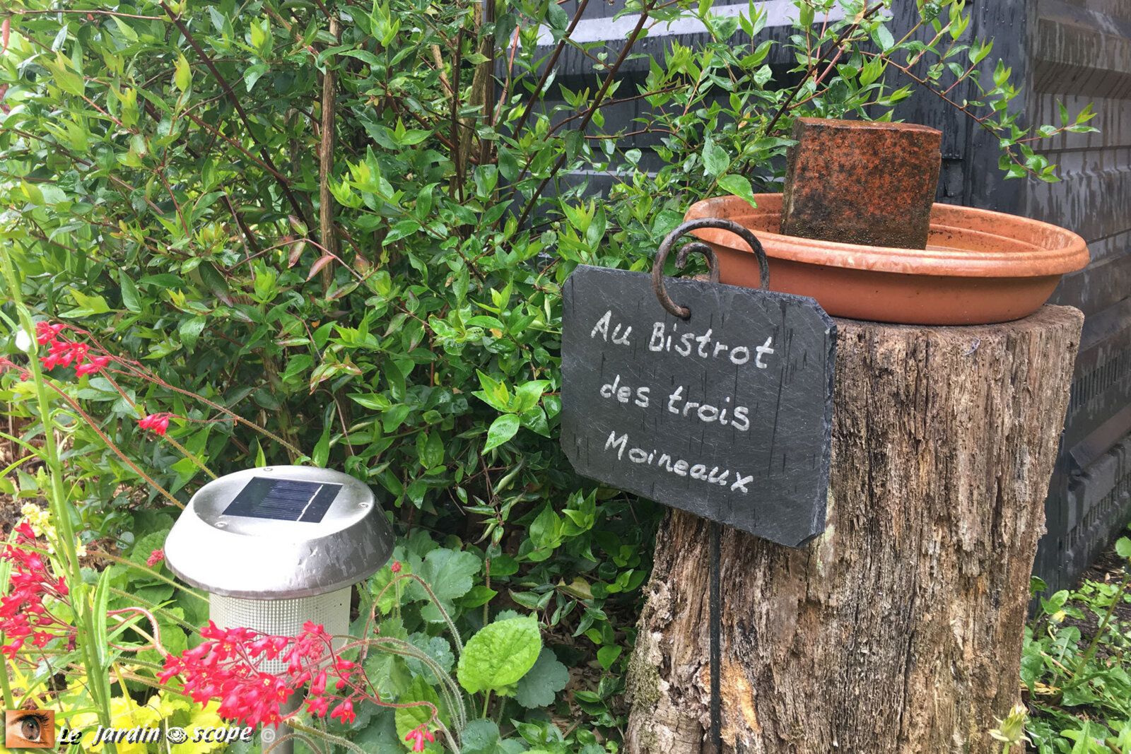 Au bistrot des oiseaux