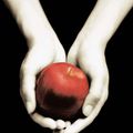 Fascination - Stephenie Meyer