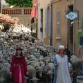 Transhumance dans le village de Bormes 