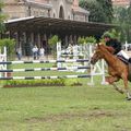 chevaux à Chatel Guyon (63)