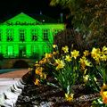 Saint-Patrick in Bressuire: whiskey, a green townhall and a quiz