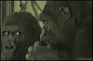 Quand je regarde dans la file d'à côté au feu rouge