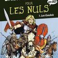 L'histoire de France pour les Nuls en BD - 1. Les Gaulois