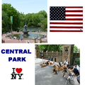 NY Central Park