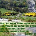 Torrent citation Khalil Gibran 