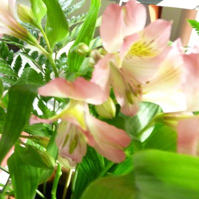 Une journée fleurie