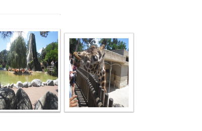 Jour 2: Aperçu du zoo de La Palmyre!
