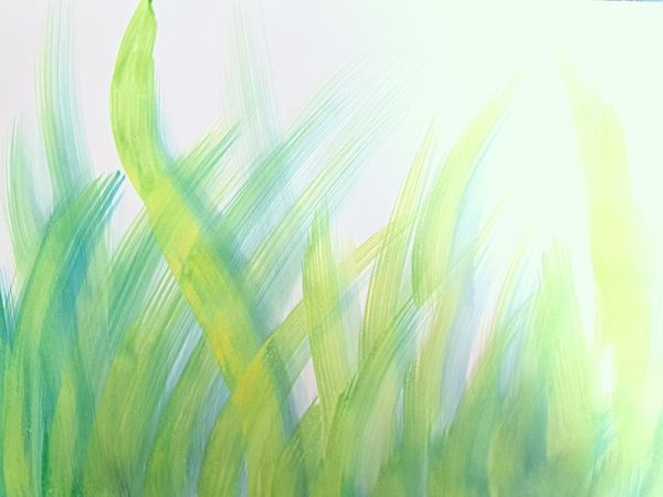 Herbe