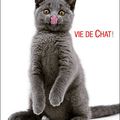 Vie de chat !