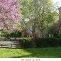 Quartier Drouot - Sous le soleil exactement...