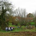 Mardi 20 Novembre 2012 - Randonnée MGEN à STEENBECQUE