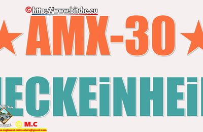 BiTCHE CHAR_AMX 30. le " MECKEiNHEiM "