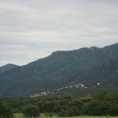 Source de VLLELONGUE dels MONTS 