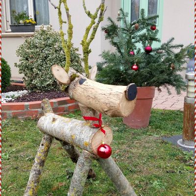 un renne pour noël !