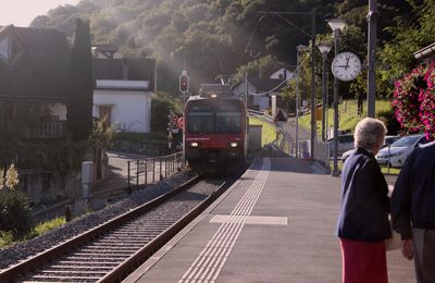 Espoir de réouverture d’Evian-Saint-Gingolph : la convention d’avant-projet sommaire (1,09 M€) votée par Auvergne-Rhône-Alpes