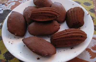Madeleines au cacao Van Houten