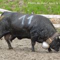 5ème mélange à la Ferme La Tulipe