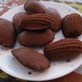 Madeleines au cacao Van Houten