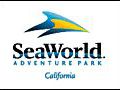 Sea World