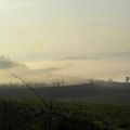 Brume matinale