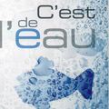 WALLACE David Foster / C'est de l'eau.