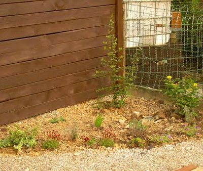 Printemps 2011 - on continue les plantations...