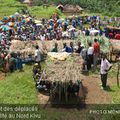 Masisi : affrontements FARDC-CNDP et APCLS, des villages déserts et leurs habitants déplacés sans assistance